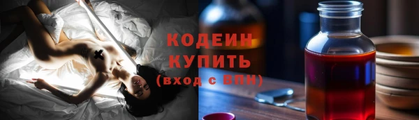 дживик Арсеньев