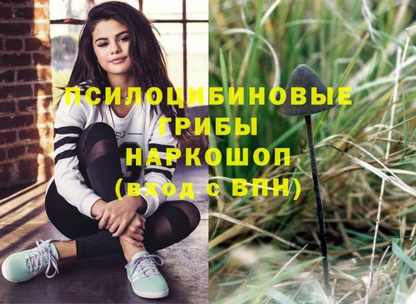 PSILOCYBIN Алзамай