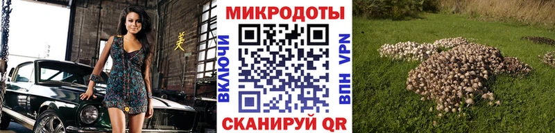 даркнет клад  блэк спрут рабочий сайт  Камызяк  купить   Псилоцибиновые грибы Cubensis 